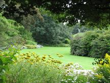 westbroekpark_216x162_035.jpg
