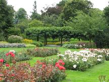 westbroekpark_216x162_054.jpg