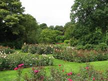 westbroekpark_216x162_063.jpg