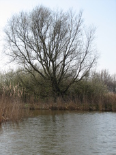 westfriesland_170x227_042.jpg
