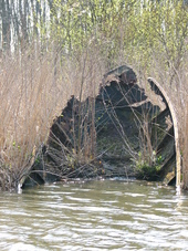 westfriesland_170x227_064.jpg