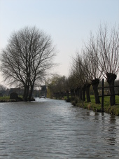 westfriesland_170x227_182.jpg