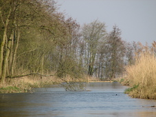 westfriesland_227x170_006.jpg