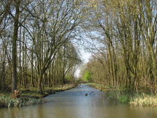 westfriesland_227x170_012.jpg