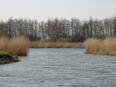 westfriesland_227x170_036.jpg