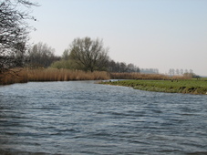 westfriesland_227x170_040.jpg