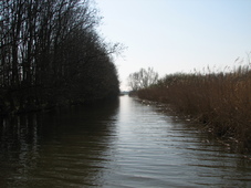 westfriesland_227x170_044.jpg