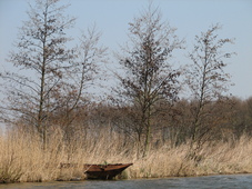 westfriesland_227x170_085.jpg