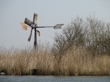 westfriesland_227x170_086.jpg