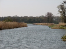 westfriesland_227x170_093.jpg