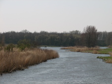 westfriesland_227x170_096.jpg
