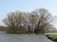westfriesland_227x170_115.jpg