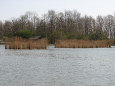 westfriesland_227x170_135.jpg