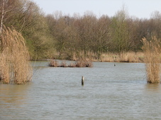 westfriesland_227x170_138.jpg