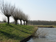westfriesland_227x170_147.jpg