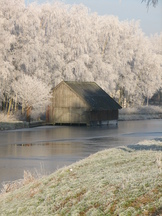 wfl_162x216_004.jpg