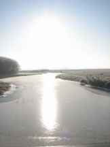 wfl_162x216_009.jpg