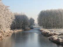 wfl_216x162_001.jpg