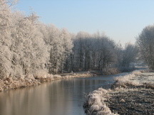 wfl_216x162_002.jpg