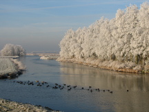 wfl_216x162_003.jpg