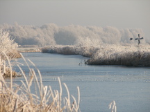 wfl_216x162_005.jpg
