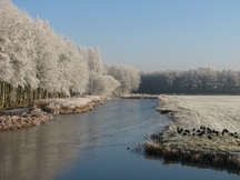wfl_216x162_006.jpg