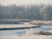 wfl_216x162_007.jpg