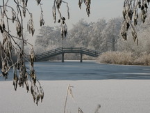 wfl_216x162_012.jpg