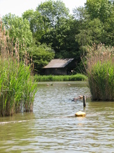 wf_162x216_010.jpg