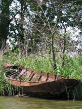wf_162x216_015.jpg