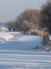 westfriesland_182x243_8579.jpg