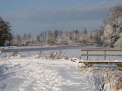 westfriesland_243x182_8566.jpg
