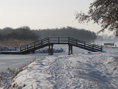 westfriesland_243x182_8574.jpg