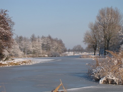 westfriesland_243x182_8576.jpg