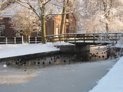 westfriesland_243x182_8583.jpg