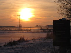 westfriesland_243x182_8606.jpg