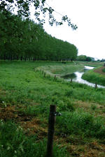 wielen_150x225_001.jpg
