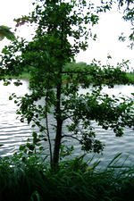 wielen_150x225_012.jpg