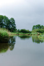 wielen_150x225_026.jpg