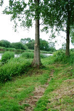 wielen_150x225_033.jpg