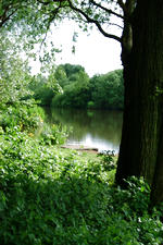 wielen_150x225_044.jpg
