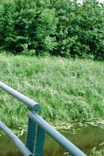 wielen_150x225_050.jpg