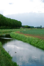 wielen_150x225_052.jpg