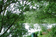 wielen_225x150_014.jpg
