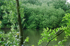 wielen_225x150_019.jpg