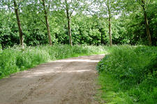 wielen_225x150_021.jpg