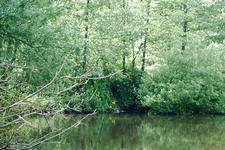 wielen_225x150_024.jpg