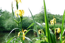 wielen_225x150_028.jpg
