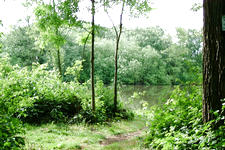 wielen_225x150_031.jpg