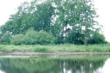 wielen_225x150_034.jpg